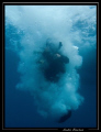 Mise à l' eau 